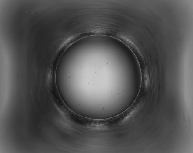 X0000087670208200705041016