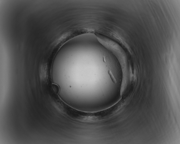 X0000087670212200705041016