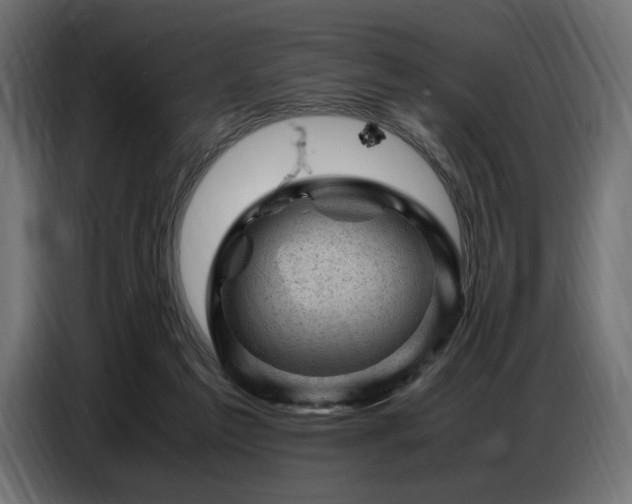 X0000087670213200705041016