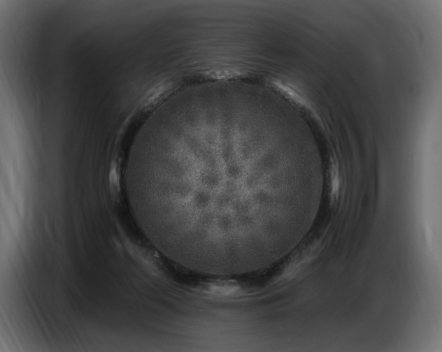 X0000087670214200705041016