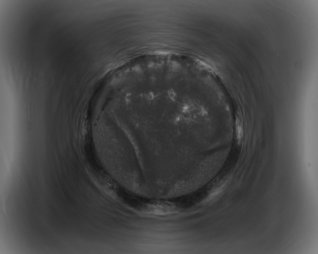 X0000087670215200705041016