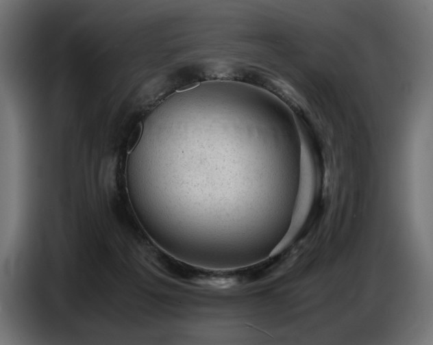 X0000087670217200705041016