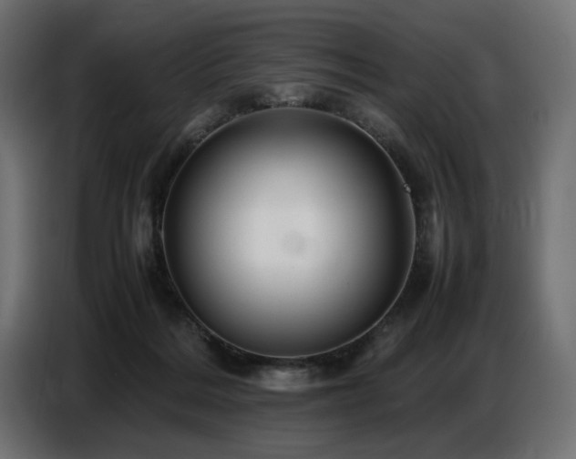 X0000087670220200705041016