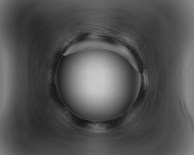 X0000087670221200705041016