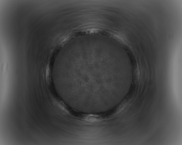 X0000087670222200705041016