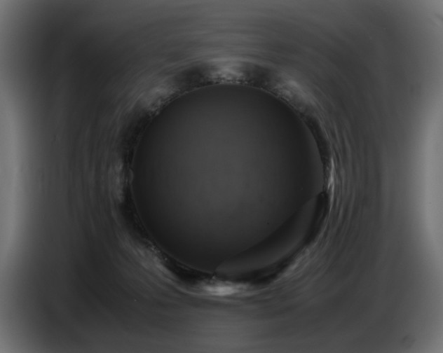 X0000087670223200705041016