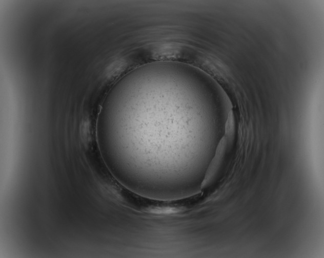 X0000087670224200705041016