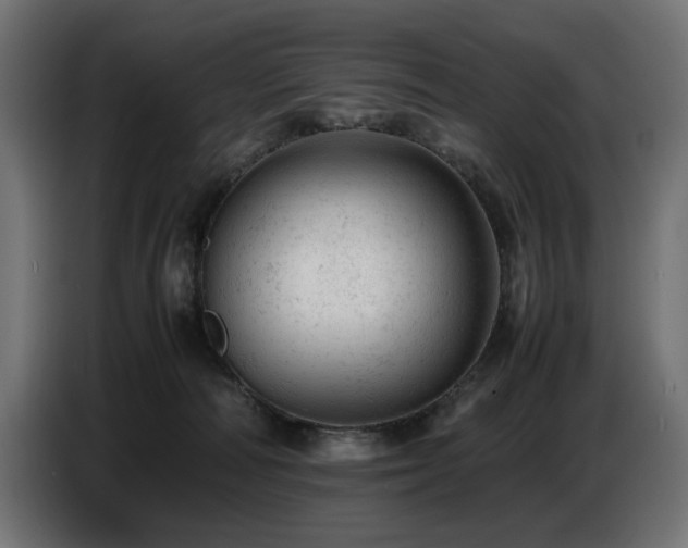 X0000087670226200705041016