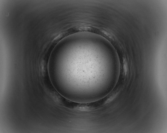 X0000087670228200705041016