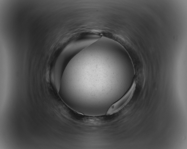 X0000087670229200705041016