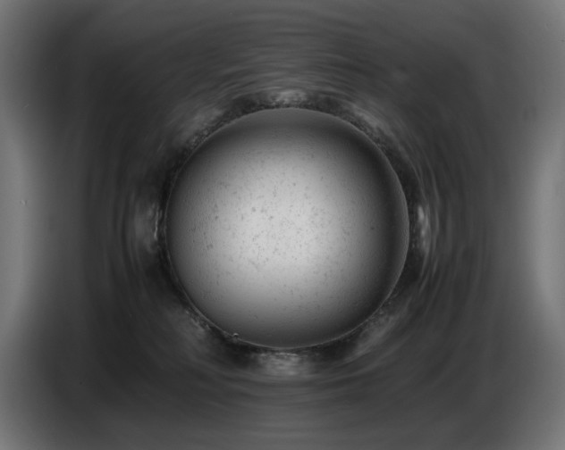 X0000087670230200705041016