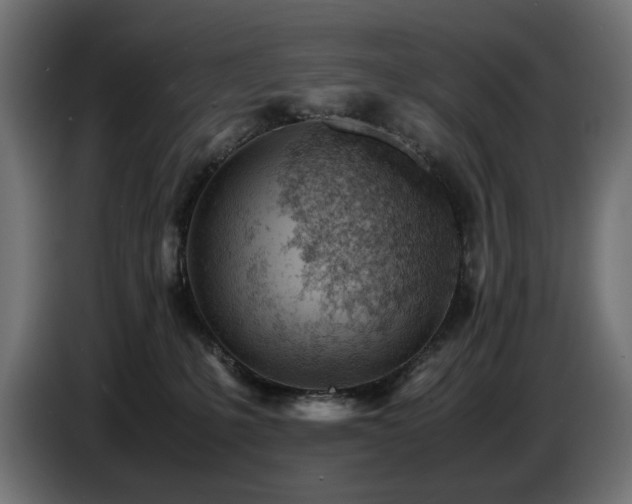 X0000087670231200705041016