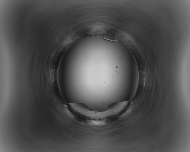 X0000087670232200705041016