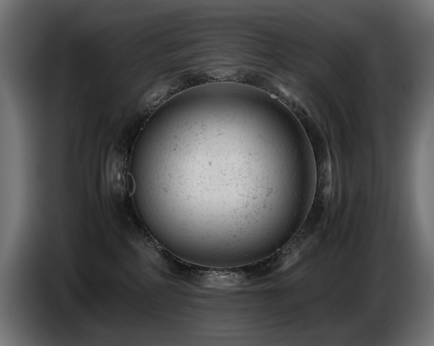 X0000087670234200705041016