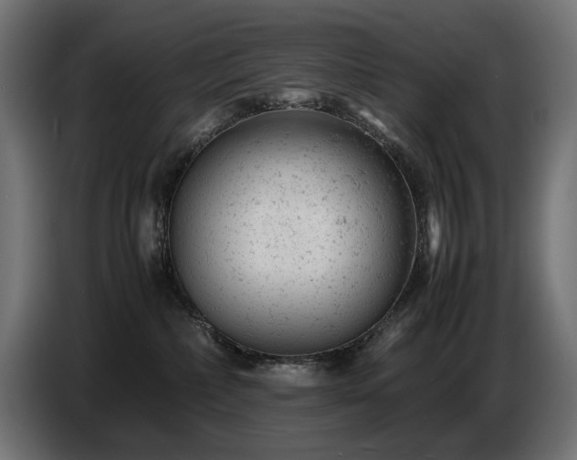 X0000087670236200705041016