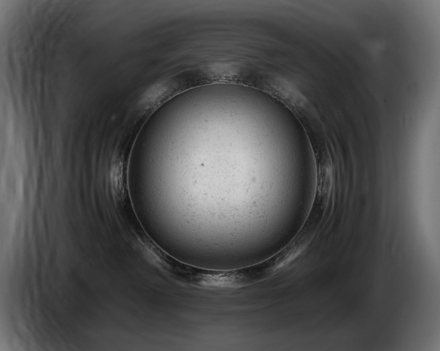 X0000087670238200705041016