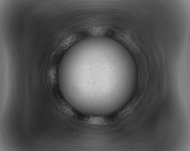 X0000087670240200705041016