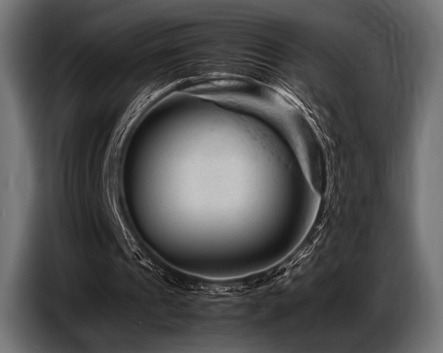 X0000087670241200705041015