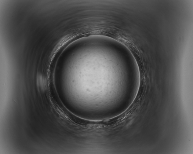 X0000087670242200705041015