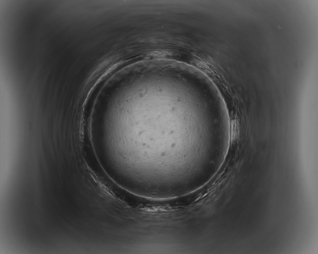 X0000087670243200705041015