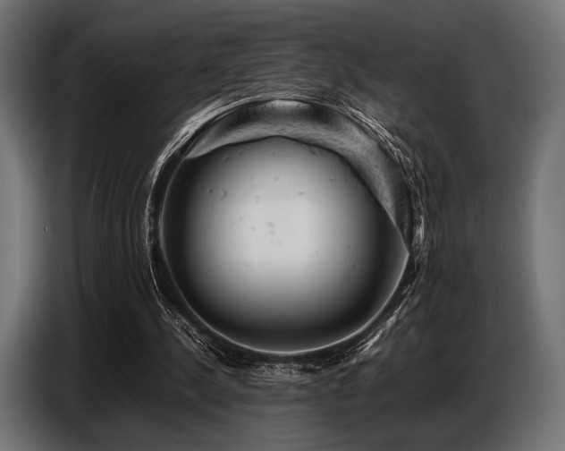 X0000087670244200705041015