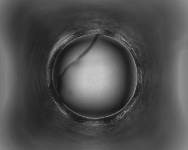 X0000087670245200705041015