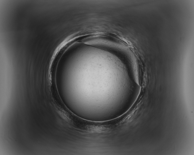 X0000087670246200705041015