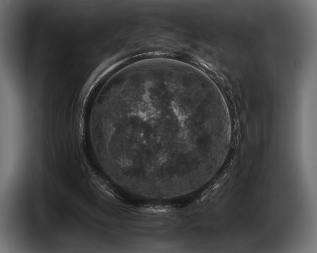 X0000087670247200705041015