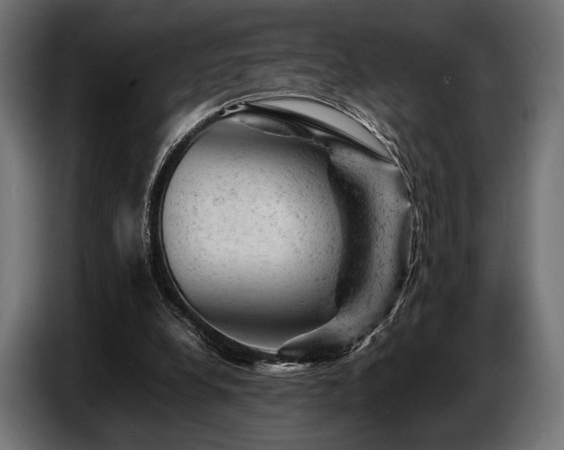 X0000087670248200705041015