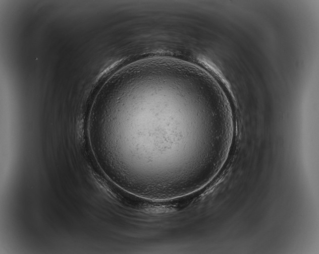 X0000087670249200705041015