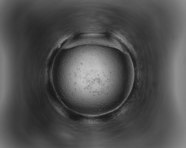 X0000087670250200705041015