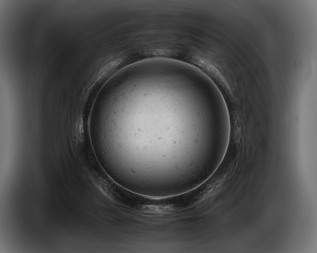 X0000087670251200705041015