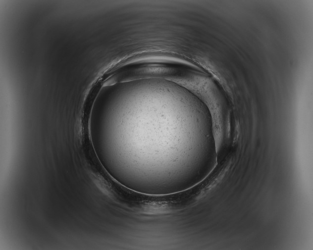 X0000087670252200705041015