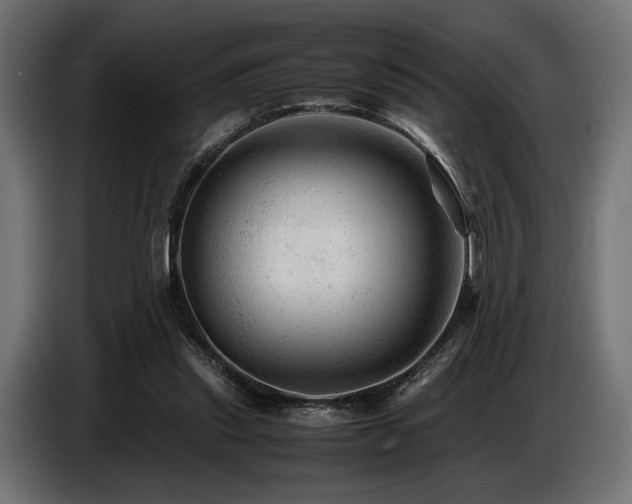 X0000087670253200705041015