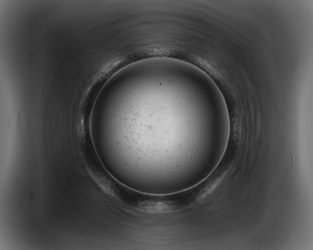 X0000087670254200705041015