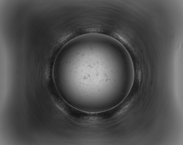 X0000087670255200705041015