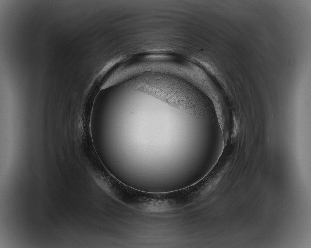 X0000087670256200705041015