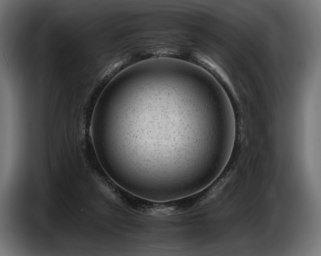 X0000087670257200705041015