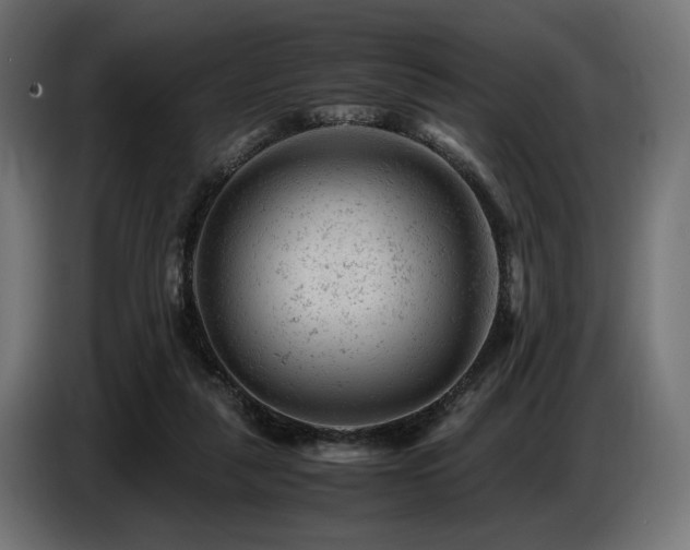 X0000087670259200705041015