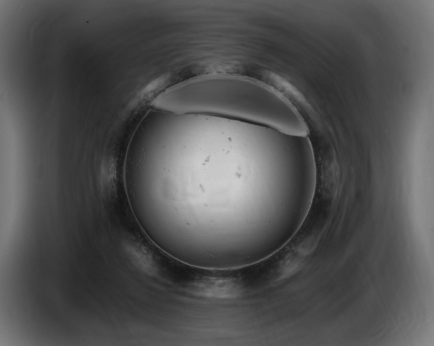 X0000087670260200705041015