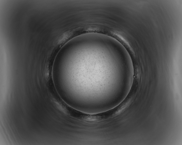 X0000087670261200705041015