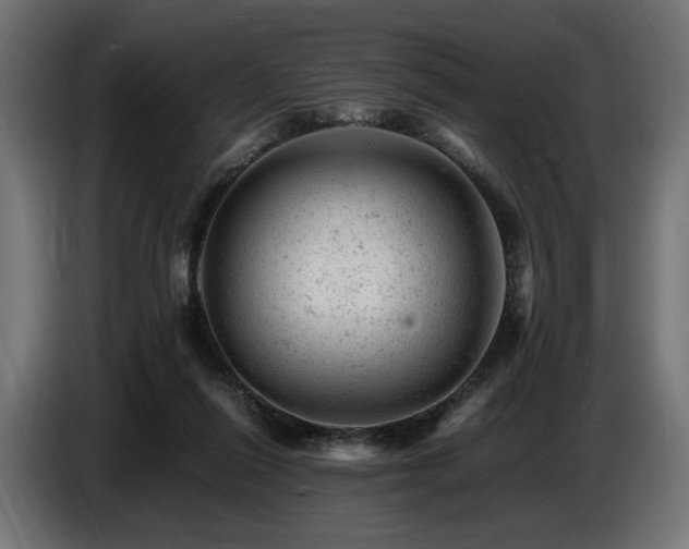 X0000087670262200705041015