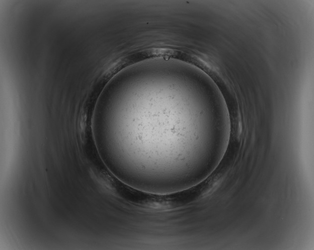 X0000087670263200705041015