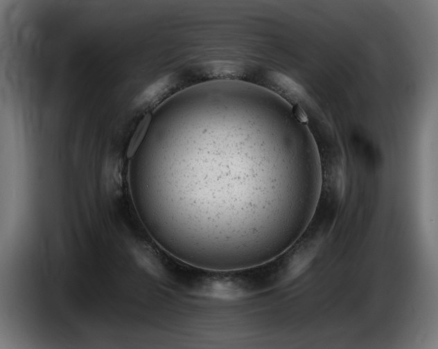 X0000087670264200705041015