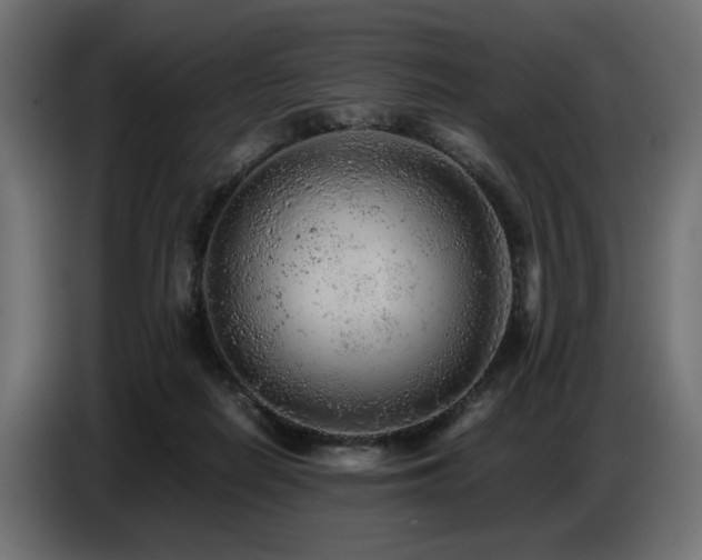 X0000087670266200705041016