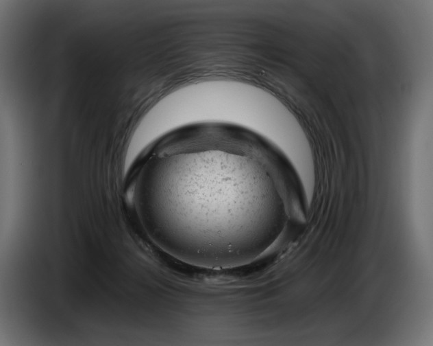 X0000087670268200705041016