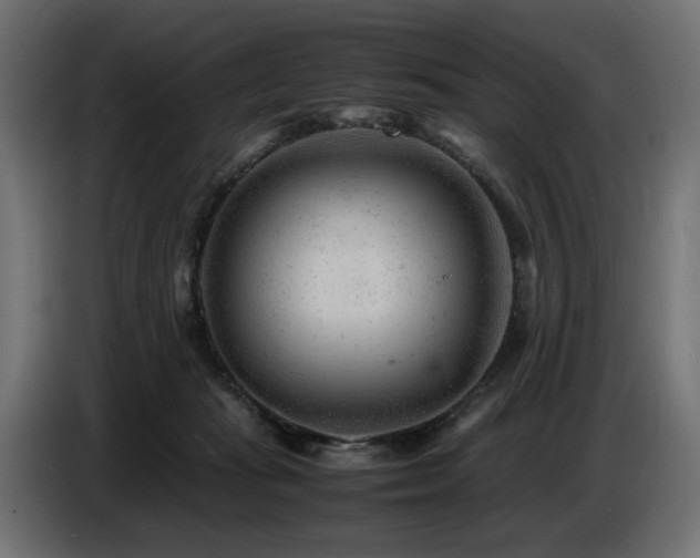 X0000087670269200705041016