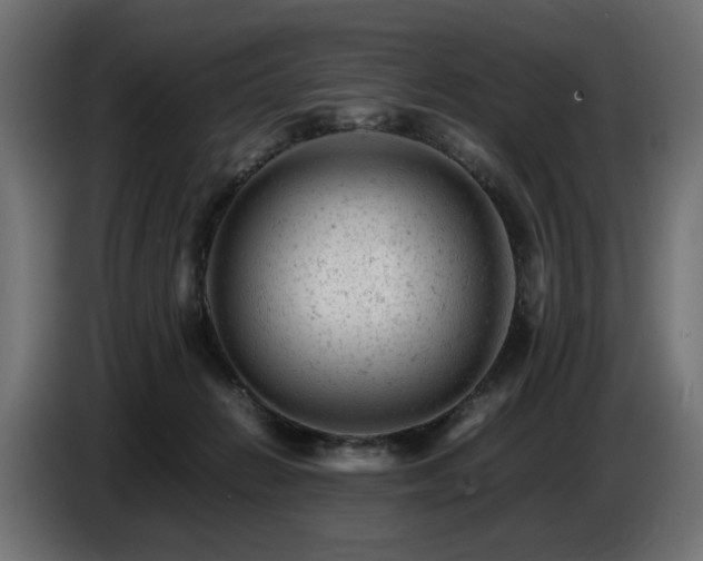 X0000087670270200705041016