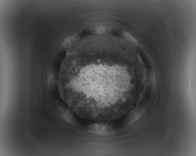 X0000087670272200705041016