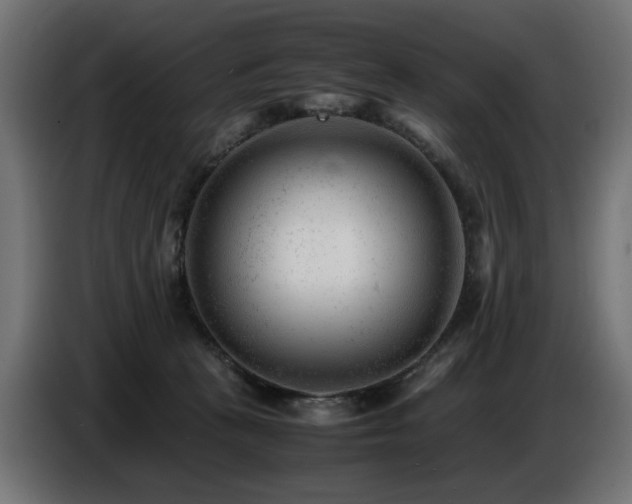 X0000087670273200705041016